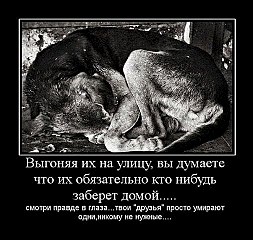 click for enlarge 506 X 480 58.0 Kb picture