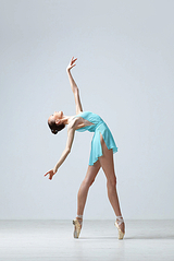 click for enlarge 300 X 449 83.5 Kb picture