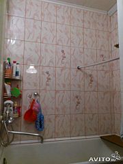 click for enlarge 360 X 480 22.7 Kb picture