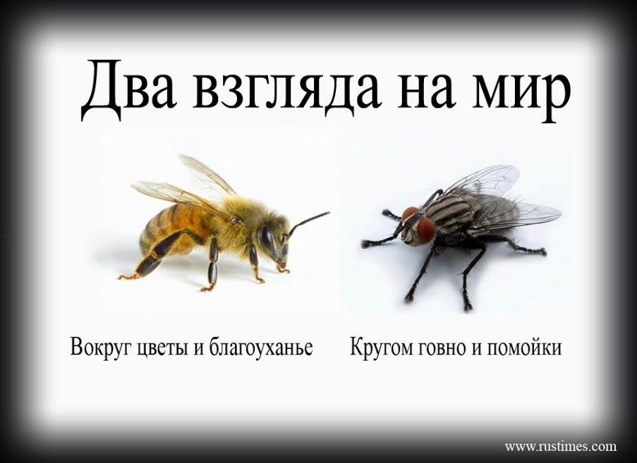 http://izhevsk.ru/forums/icons/forum_pictures/011214/11214308.jpg