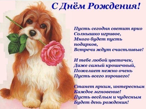 Смотреть открытки на день рождения