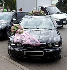 683 X 713 156.3 Kb  Jaguar   500 /