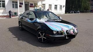 1024 X 576 123.7 Kb 683 X 713 156.3 Kb  Jaguar   500 /
