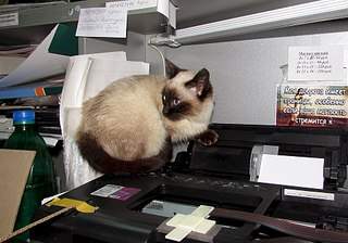 1920 X 1344 522.2 Kb    ()