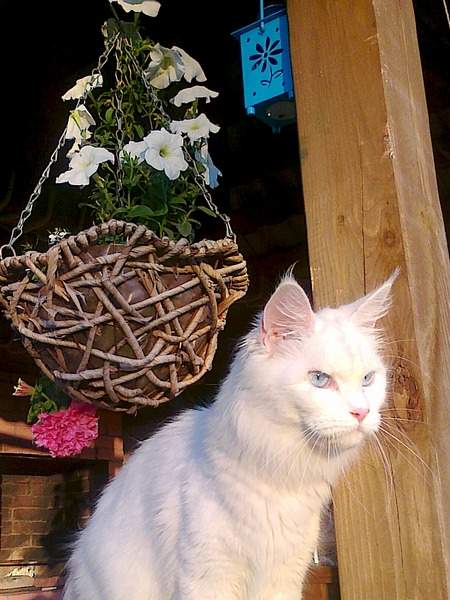 1536 X 2048 752.8 Kb 1920 X 1200 872.8 Kb 1920 X 1862 479.4 Kb 1920 X 1248 771.9 Kb 1920 X 1877 468.4 Kb    