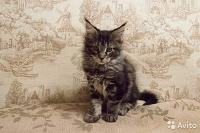 640 X 426  91.2 Kb 640 X 462  90.4 Kb 640 X 440  87.0 Kb 640 X 426  65.3 Kb 640 X 445  76.2 Kb    ,    