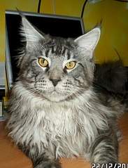 1920 X 2510 350.3 Kb    ,    