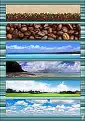 828 X 1170  89.3 Kb 595 X 1067 104.8 Kb     ""