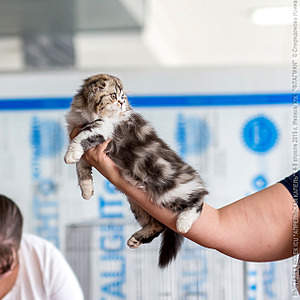 640 X 640 260.6 Kb   !  Alfredo