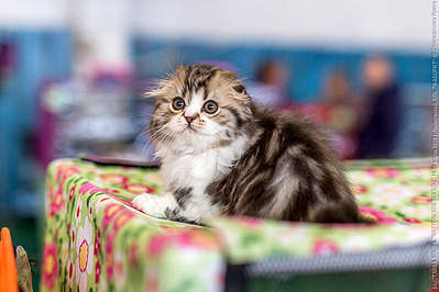 640 X 427 226.5 Kb 640 X 427 209.7 Kb 640 X 640 407.2 Kb 640 X 640 260.6 Kb   !  Alfredo