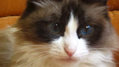 1920 X 1079 354.2 Kb 1920 X 1079 386.9 Kb 1920 X 1079 464.0 Kb   