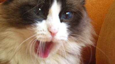 1920 X 1079 349.7 Kb 1920 X 1079 354.2 Kb 1920 X 1079 386.9 Kb 1920 X 1079 464.0 Kb   