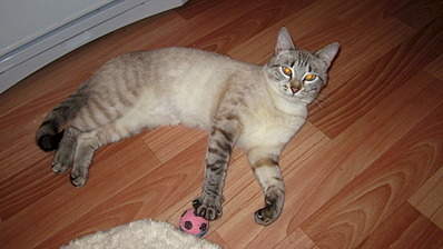 1920 X 1079 490.1 Kb      