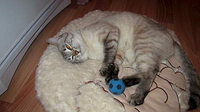 1920 X 1079 491.0 Kb 1920 X 1079 490.1 Kb      