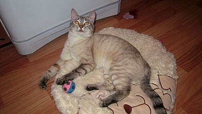 1920 X 1079 501.4 Kb 1920 X 1079 491.0 Kb 1920 X 1079 490.1 Kb      