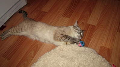 1920 X 1079 480.6 Kb 1920 X 1079 478.5 Kb 1920 X 1079 501.4 Kb 1920 X 1079 491.0 Kb 1920 X 1079 490.1 Kb      