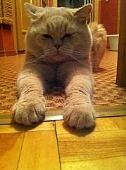 716 X 960 204.9 Kb 716 X 960 169.1 Kb 713 X 610   1.0 Mb  