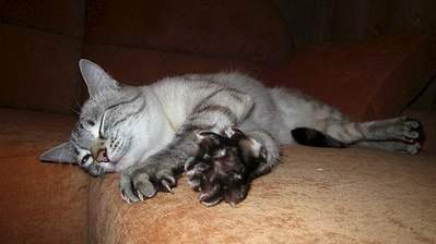 604 X 339 36.5 Kb 604 X 339 38.0 Kb      