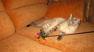 604 X 339 41.5 Kb 604 X 339 36.5 Kb 604 X 339 38.0 Kb      