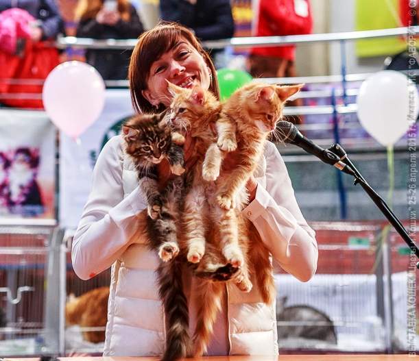 611 x 527 589 x 407 -   