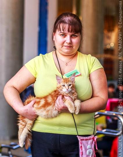 424 x 541 611 x 527 589 x 407 -   