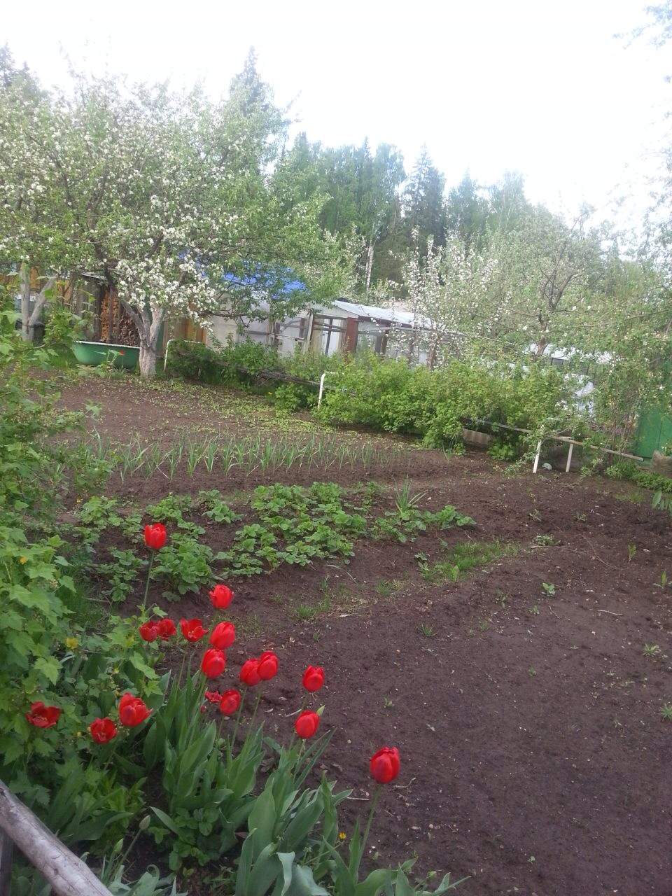 Поздравление с главбухом Поздравление с главбухом