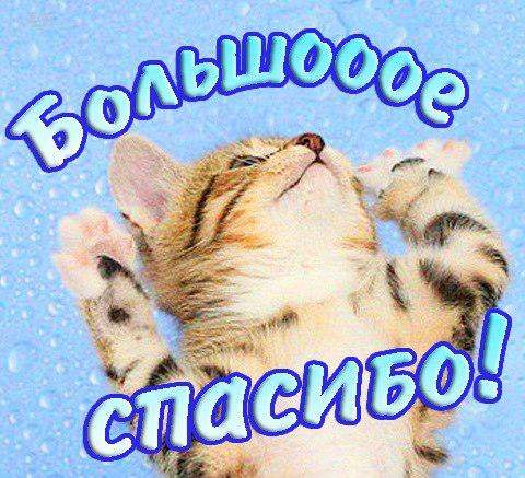 Спасибо открытки для мужчин