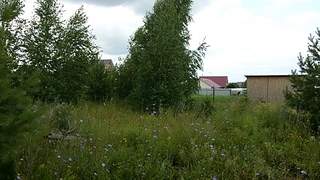 533 X 300 86.8 Kb 533 X 300 64.1 Kb 533 X 300 86.3 Kb 533 X 300 71.8 Kb с.Завьялово, Ю-2, 10 соток