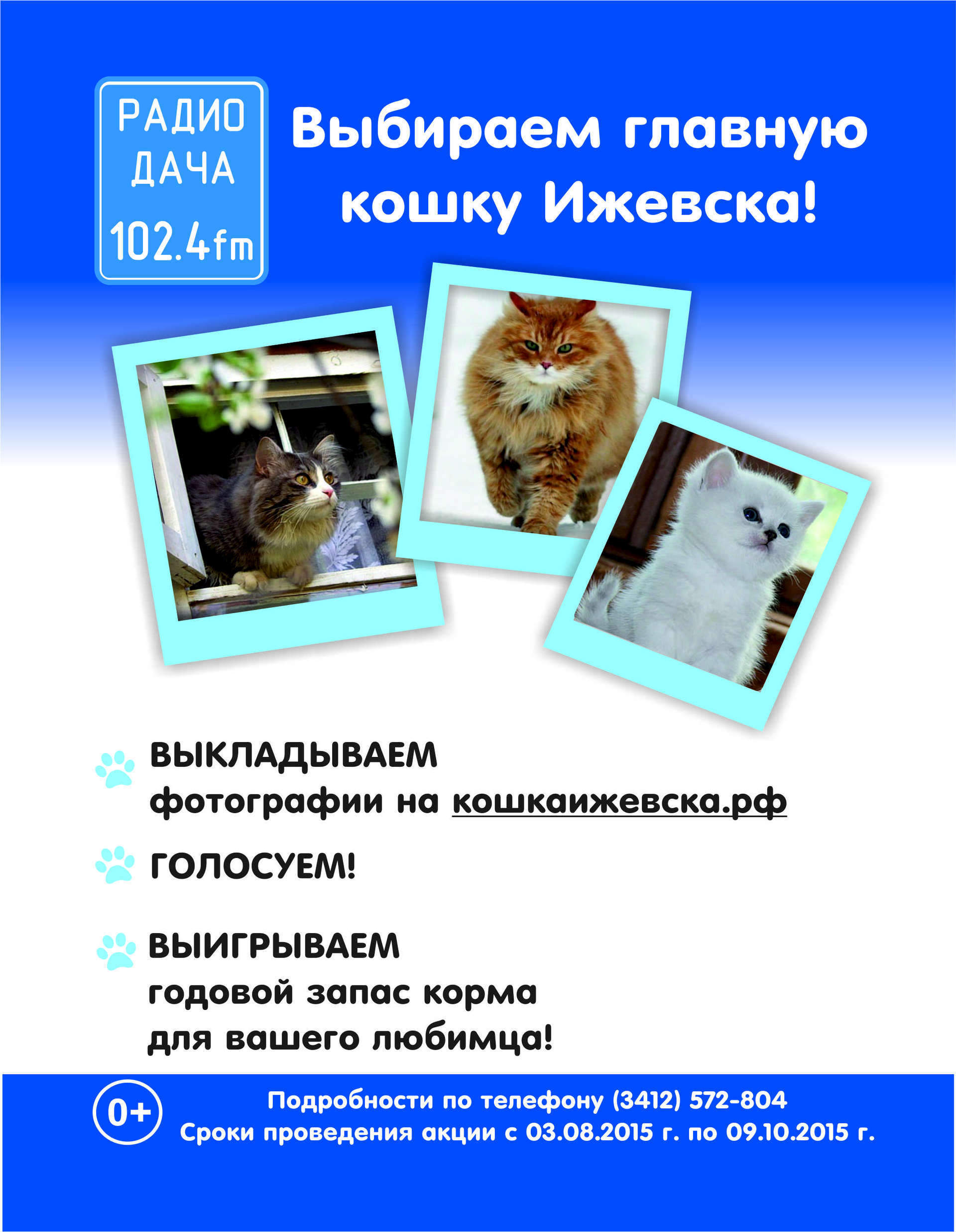Кошка ижевска конкурс радио дача Кошка ижевска конкурс радио дача