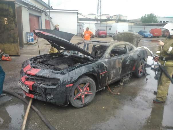 Женская одежда camaro