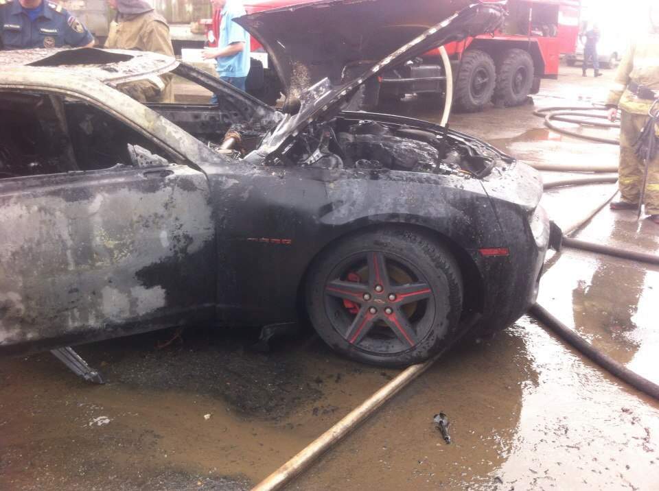 Женская одежда camaro