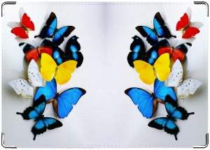300 x 215 300 x 215 .
