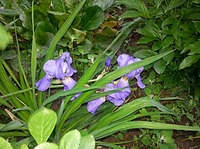 292 X 218 33.8 Kb 292 X 218 31.3 Kb 292 X 218 41.6 Kb  - , , , ,   .