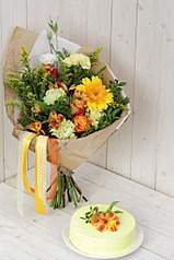 682 X 1024 146.6 Kb     1     