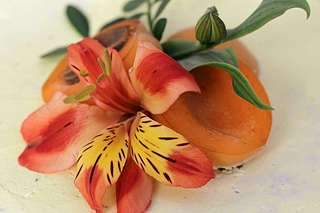 1920 X 1280 96.7 Kb 1920 X 1280 93.2 Kb 1920 X 1280 85.7 Kb 682 X 1024 145.8 Kb 682 X 1024 146.6 Kb     1     