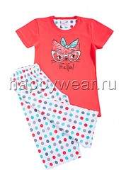 690 X 930 109.0 Kb ,       