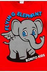 240 X 370 28.3 Kb ,  ,   .  