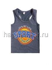 690 X 930 81.3 Kb ,  ,   .  