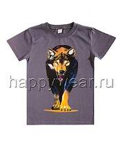 690 X 930 83.4 Kb ,  ,   .  