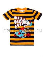 690 X 930 102.1 Kb ,  ,   .  