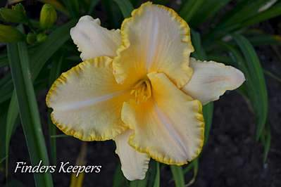 1920 X 1280 154.9 Kb 1800 X 1200 932.3 Kb 2000 X 1333 901.8 Kb ��������� ������