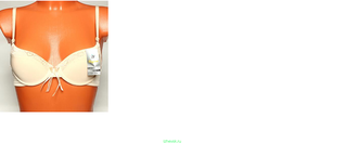 1356 X 563 270.9 Kb .