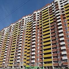 260 X 260  95.5 Kb 848 X 1280 515.1 Kb 1238 X 618 296.6 Kb   1, 2, 3 