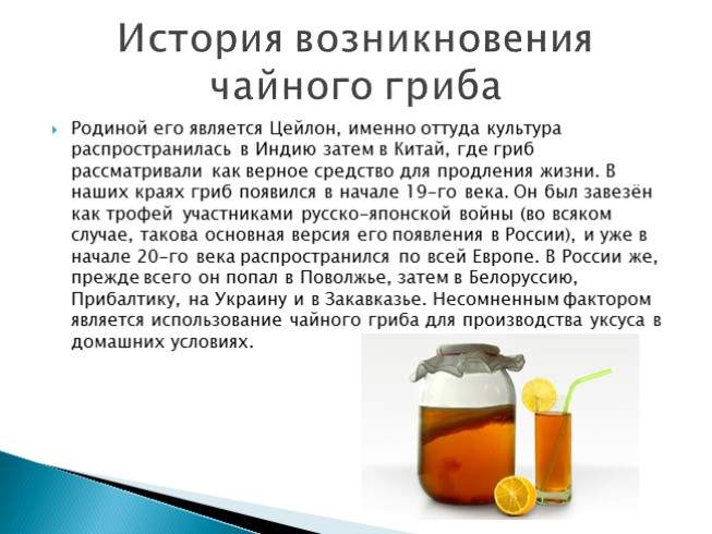 Как сделать чайный гриб Как сделать чайный гриб