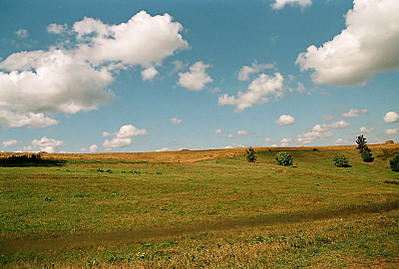 click for enlarge 800 X 539 132.5 Kb picture