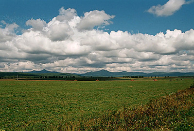 click for enlarge 800 X 543 135.7 Kb picture
