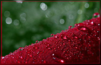 click for enlarge 800 X 513 145.2 Kb picture