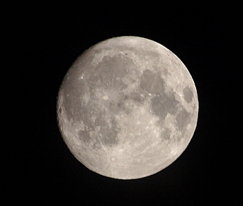 click for enlarge 733 X 624 311.3 Kb picture