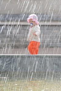 click for enlarge 480 X 720 102.1 Kb picture