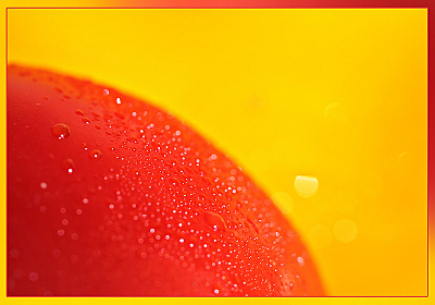 click for enlarge 800 X 560 147.4 Kb picture